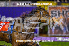 2026_Pacepix_GP07082026_Race6_HezTheBoss_WIN_WEB-11