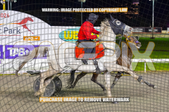 2026_Pacepix_GP07082026_Race6_HezTheBoss_WIN_WEB-23