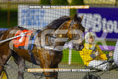 2026_Pacepix_GP07082026_Race6_HezTheBoss_WIN_WEB-25