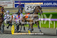 2026_Pacepix_GP07082026_Race6_HezTheBoss_WIN_WEB-4