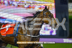 2026_Pacepix_GP07082026_Race6_HezTheBoss_WIN_WEB-7