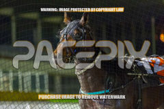 2026_Pacepix_GP07082026_Race5_NeveleArma_WIN_WEB-29