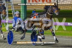 4yo CHAMPIONSHIP - Runkle Crunch