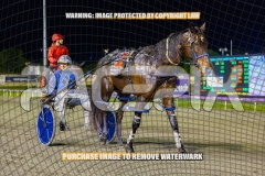 2026_PACEPIX_GP09102026_RACE5_RunkleCrunch_WIN_WEB-19