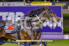 2026_PACEPIX_GP09102026_RACE5_RunkleCrunch_WIN_WEB-4