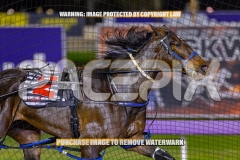 2026_PACEPIX_GP09102026_RACE5_RunkleCrunch_WIN_WEB-5