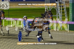 2026_PACEPIX_GP09102026_RACE5_RunkleCrunch_WIN_WEB-8
