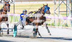 2026_PACEPIX_GP03022026_WEB-14
