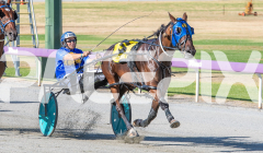 2026_PACEPIX_GP03022026_WEB-15