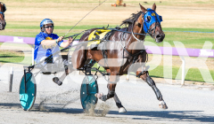 2026_PACEPIX_GP03022026_WEB-16