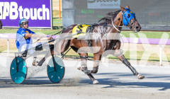 2026_PACEPIX_GP03022026_WEB-19