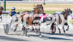 2026_PACEPIX_GP03022026_WEB-2