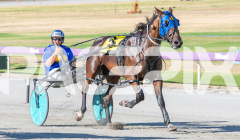 2026_PACEPIX_GP03022026_WEB-23