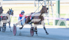 2026_PACEPIX_GP03022026_WEB-27