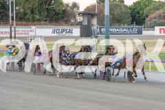 2026_PACEPIX_GP03022026_WEB-64