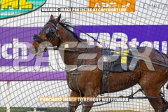 2026_PACEPIX_GP15092026_WEB-10
