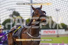 2026_PACEPIX_GP15092026_WEB-12