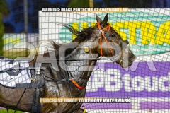 2026_PACEPIX_GP15092026_WEB-36
