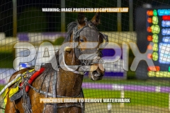 2026_PACEPIX_GP15092026_WEB-52