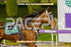 2026_PACEPIX_GP15092026_WEB-63
