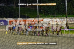 2026_PACEPIX_GP15092026_WEB-71