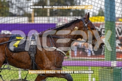 2026_PACEPIX_GP15092026_WEB-8