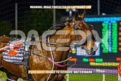 2026_PACEPIX_GP15092026_WEB-81