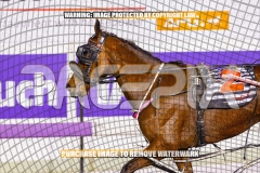 2026_PACEPIX_GP15092026_WEB-83