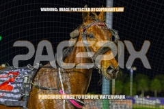 2026_PACEPIX_GP15092026_WEB-88