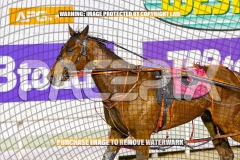 2026_PACEPIX_GP15092026_WEB-99