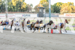 2025_PACEPIX_GP20012026_WEB-13