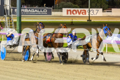 2025_PACEPIX_GP20012026_WEB-38
