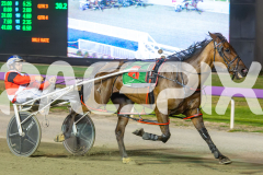 2025_PACEPIX_GP20012026_WEB-51
