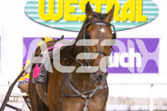 2025_PACEPIX_GP20012026_WEB-66