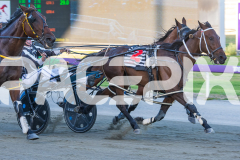 2025_PACEPIX_GP20012026_WEB-7
