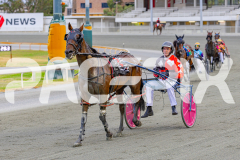 2025_PACEPIX_GP24012025_RACE2_Machlani_WIN_WEB-16