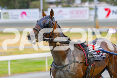 2025_PACEPIX_GP24012025_RACE2_Machlani_WIN_WEB-17