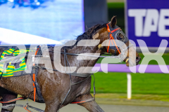 2026_PACEPIX_GP17072026_RACE5_Luvbite_WIN_WEB-16