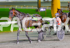 2026_PACEPIX_GP17072026_RACE5_Luvbite_WIN_WEB-17