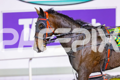 2026_PACEPIX_GP17072026_RACE5_Luvbite_WIN_WEB-18