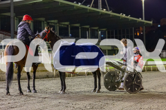 2026_PACEPIX_GP17072026_RACE5_Luvbite_WIN_WEB-23