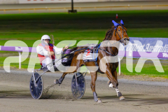 2025_PACEPIX_GP29042025_Race8_BeeBeeBerok_WIN_WEB-15