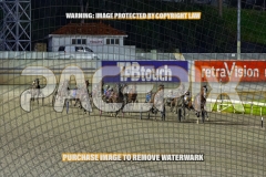 2026_PACEPIX_GP18092026_RACE5_MissLeopatra_WIN_WEB-1
