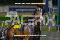2026_PACEPIX_GP18092026_RACE5_MissLeopatra_WIN_WEB-12