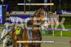 2026_PACEPIX_GP18092026_RACE5_MissLeopatra_WIN_WEB-18