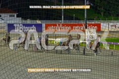 2026_PACEPIX_GP18092026_RACE5_MissLeopatra_WIN_WEB-2