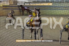 2026_PACEPIX_GP18092026_RACE5_MissLeopatra_WIN_WEB-9