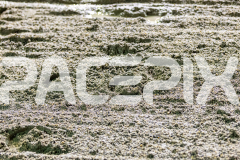 2026_PACEPIX_GP27032026_RACE3_MadMonday_WIN_WEB-23