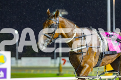 2026_PACEPIX_GP27032026_RACE4_DelightfulPeg_WIN_WEB-1