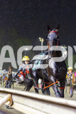 2026_PACEPIX_GP27032026_RACE4_DelightfulPeg_WIN_WEB-10